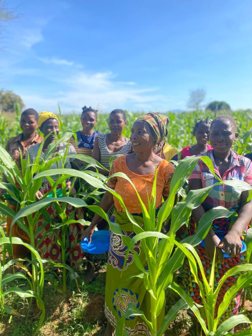 Youth in vocational training